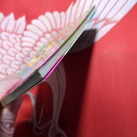 Mappy Land Famicom Strategy Guide First Edition Used Good