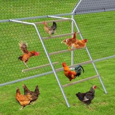 Chicken Perch with Roosting Bars and Ladder, 55'' L X 41'' W