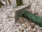 Bild 9 von 9