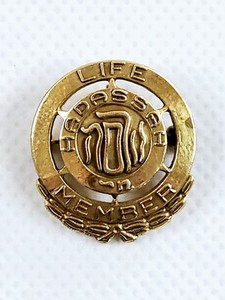 Hadassah Life Member 1/20 10k Gold Filled Pin Brooch Jewish Vtg