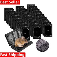 40 Pcs Baited Mouse Glue Traps Indoor for Home Adhesive Plastic Sticky Rat Tr...