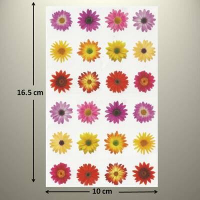 Mrs Grossman's Sticker - FLOWERS BY THE DOZEN - PHOTOESSENCE - Up to 20% OFF!!!