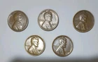 Lincoln Wheat Cents ( lot of five ) 1924s 1926s 1928s 1930s and 1935s