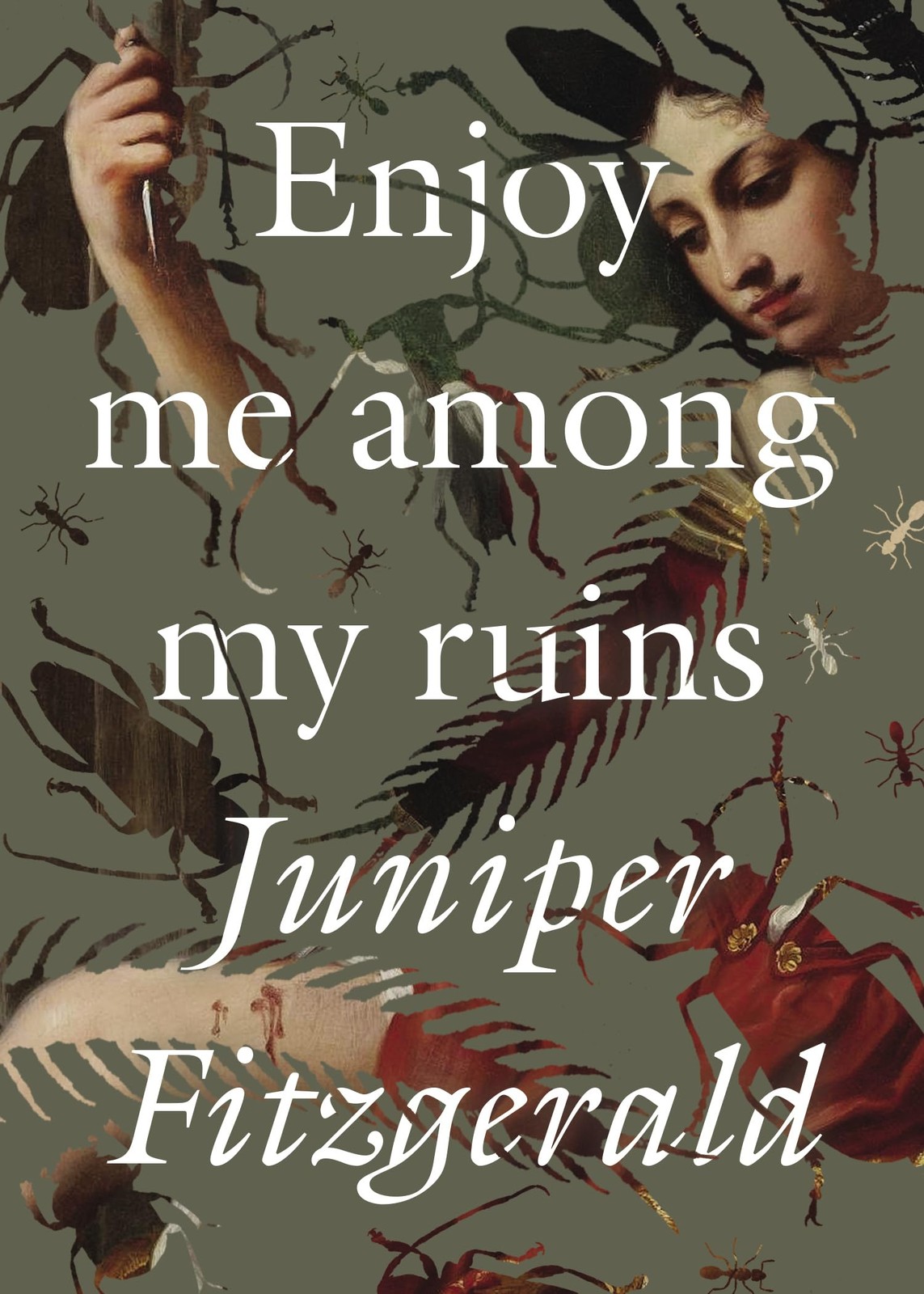 Enjoy Me Among My Ruins by Juniper Fitzgerald PAPERBACK 9781558613829 - Image 7