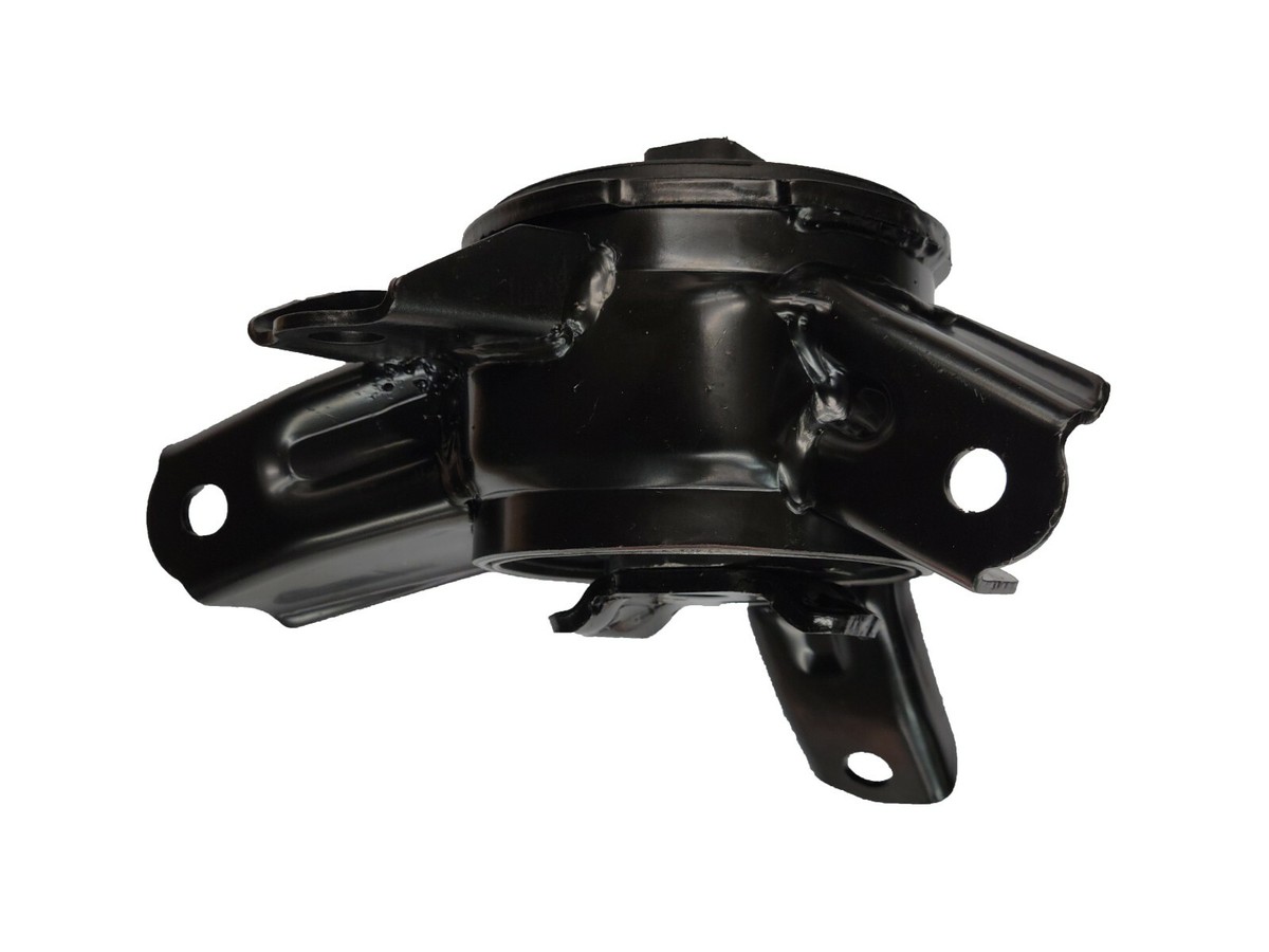 オーダー用画像 Exploring the Potential Energy Surface of Medium-Sized