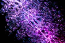 Digital Image Picture Photo Pic Wallpaper Background Purple Black Art 333