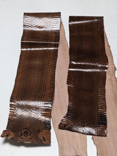 Asia Cobra Snake Skin w/ Hood Mark Snakeskin Hide Leather Brown - Picture 7 of 9