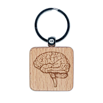 Human Brain with Cerebellum and Medulla Oblongata Engraved Wood Square  Keychain