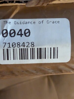 Extremely Rare Displate - Elden Ring The Guidance of Grace Misprint!
