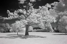 Modified Nikon D5000 cam body. Converted Full Spectrum-Astro-IR. FS: FREE FILTER