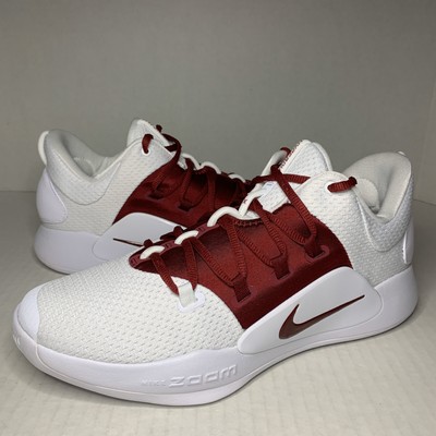 hyperdunk 10 low