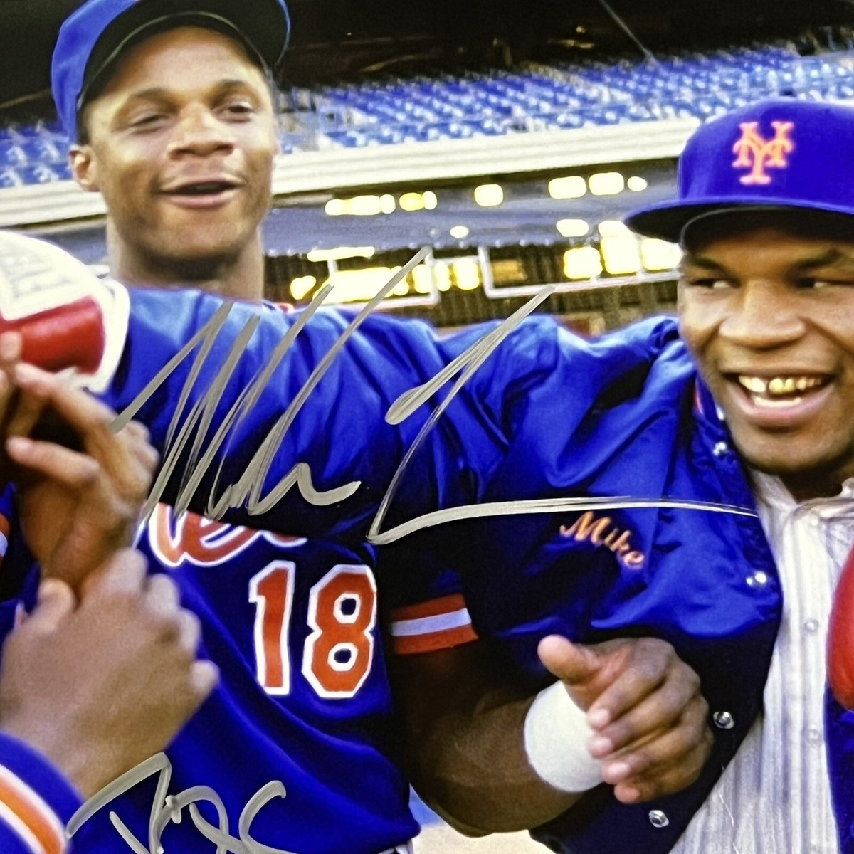 Andy Tyson Petersonページ　モンステラ19 29 002-029-128693.7803.jpg