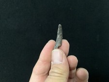 Fossil Pterosaur Tooth From Morocco !! 36 Mm!