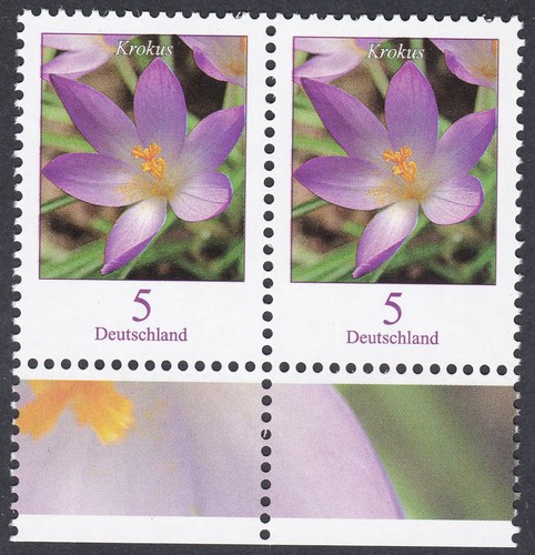 Collection De Timbres Mozambique 2017 – Nature, Faune, Orchidées – 26 S/s MNH