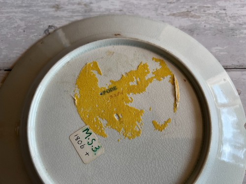 RARE 19th Century Spode Plate Exotic Birds English Circa 1810 - Picture 3 of 7