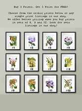 Adesivi Murali Piante Tropicali Removibili - Decorazione Parete Foresta 68x60cm Per Camera, Soggiorno O Asilo - Foto 12