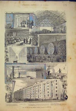 Original Old Antique Print 1882 View Max Greger'S Cellars Southwark Vats Vaults