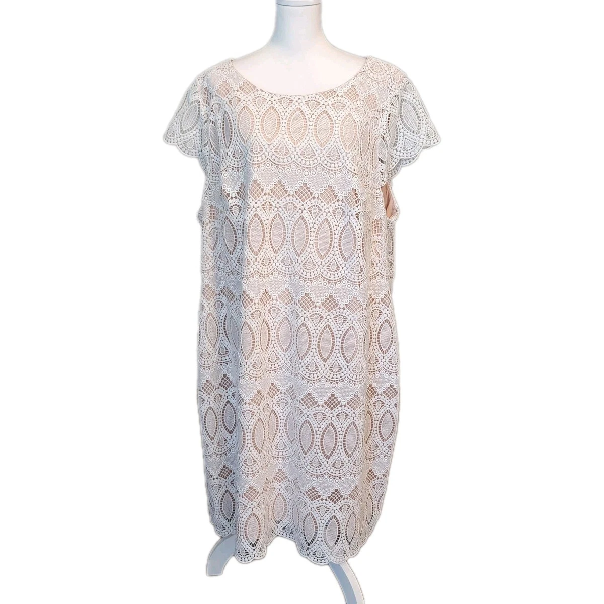 sachin and babi light blue dress Eliza J: Women's Formal Dresses & Evening Gowns