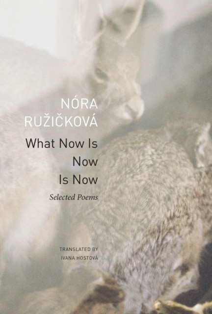 What Now Is Now Is Now Selected Poems by Nora Ruzickova (Paperback Book)