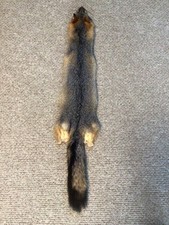 Tanned Gray Fox Pelt Hide 48" From Nose to Tail End