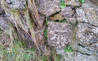 #ad #ad Photo 6x4 Ordnance Survey Cut Mark Ackland#x27;s Moor This OS cut mark can be c2018 GBP 2.00