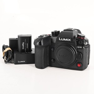 Lumix Gh6 | eBay