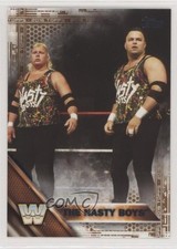 2016 Topps WWE Tag Team Championship Bronze The Nasty Boys #80 Patch Tag 0t0