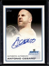 2013 Topps WWE Wrestling Cards 16