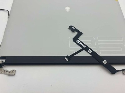 Dell Alienware Area 51M R2 17.3'' FHD 144Hz  LCD ScreenBlack FT7JV 7M11W  L3