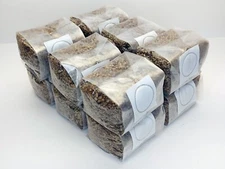12 x 1 lb. Sterilized Rye Berries Mushroom Substrate Bags for Grain Spawn