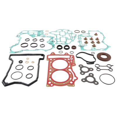 Ski-Doo Skandic SWT 600 ACE, 2014, Full Gasket Set with Seals