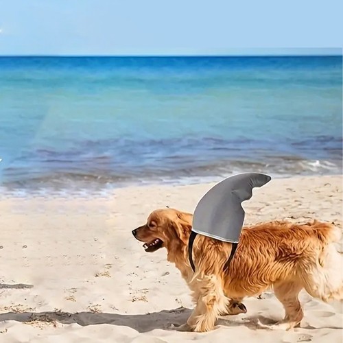 Niños Niñas Niños Bebé Adulto Mujeres Hombres Unisex Tiburón Disfraz para Adultos Tiburón - Imagen 6 de 8