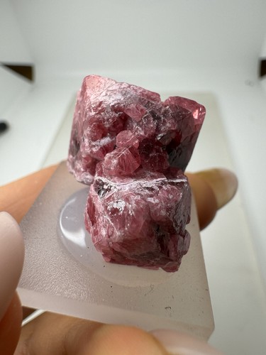 SPINELL Kristall (20gr) Pink Spinel Crystal, Mahenge - Picture 7 of 10