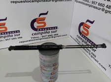 Verin de hayon / de capot Peugeot 306