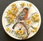 Antique 1892 Elgin Grade 107 Pocket Watch Movement Painted Bird Dial 16s 7j USA