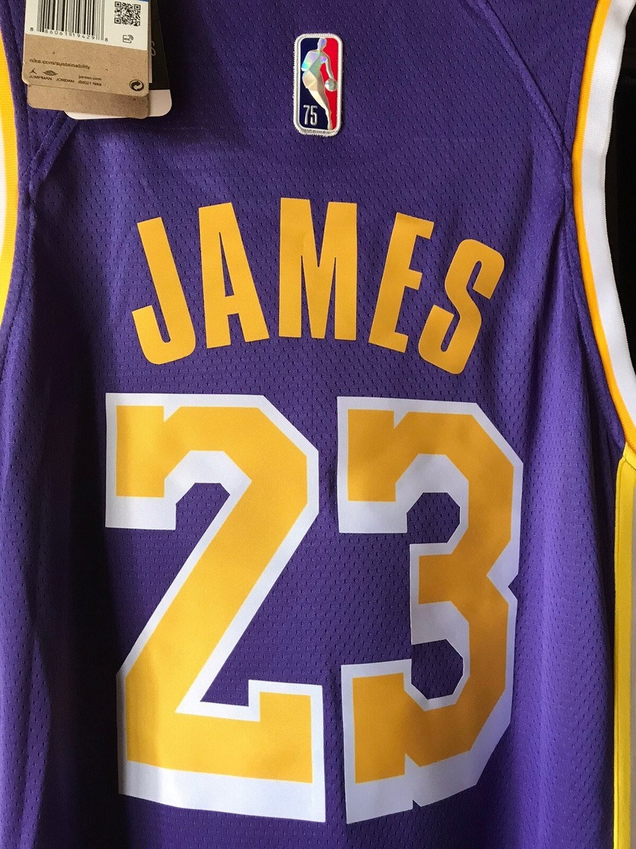Lebron James Lakers Jersey #23 Purple size L - Brand New | eBay