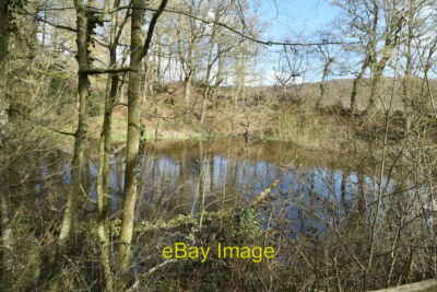 Photo 6x4 Pond by Clay Hill Rd Hook Green  c2021