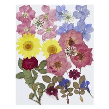 Dried Pressed Flowers Natural Leave Real Pressed Flowers Retro Style