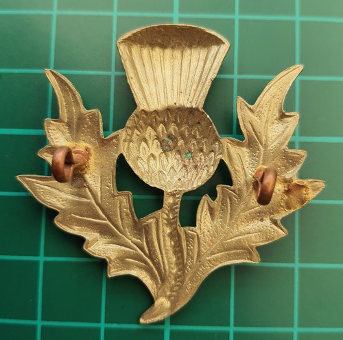 Insignia de tapa de cardo escocés BB-300 - Imagen 2 de 2