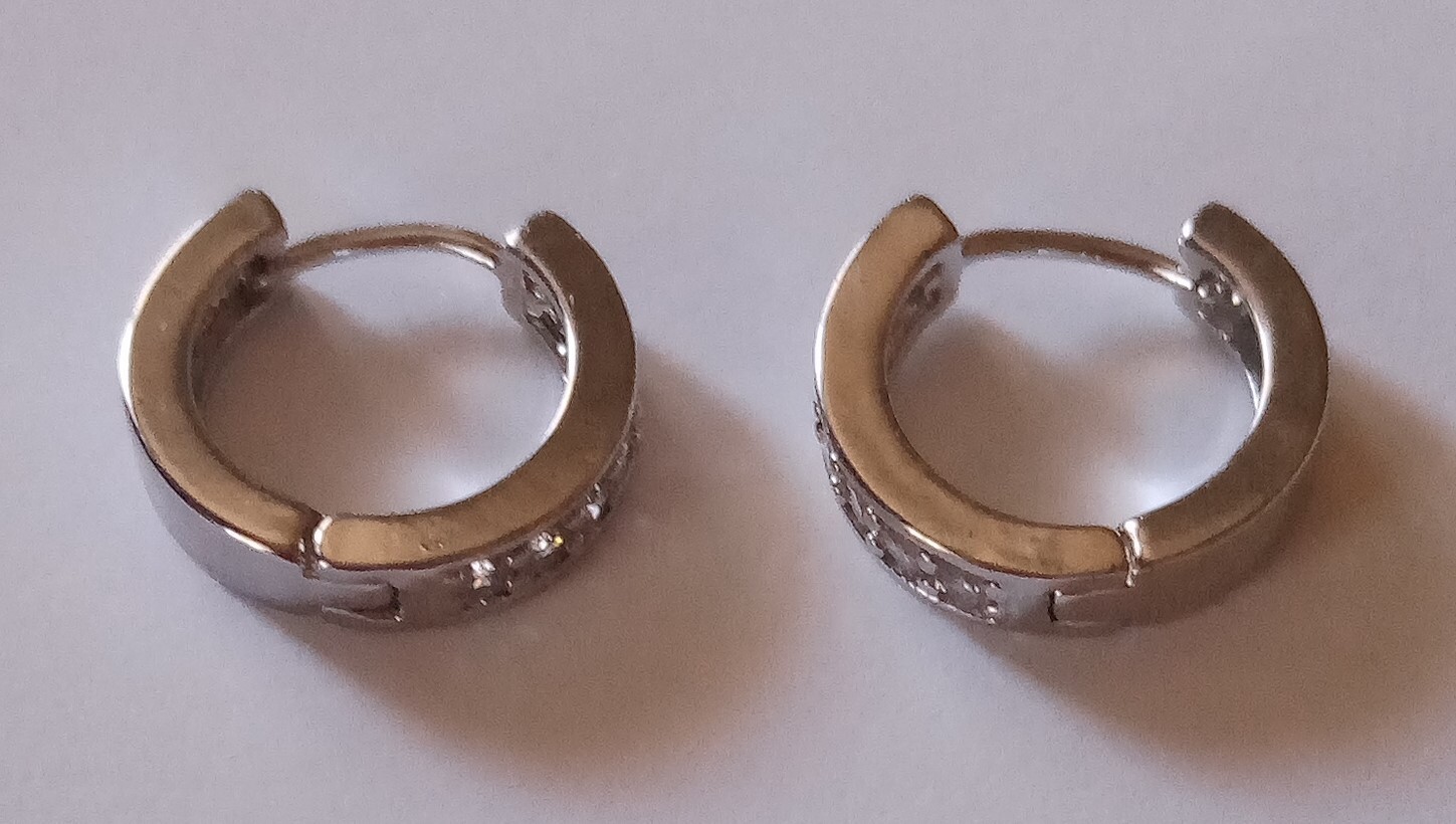 Huggies Hoop Earrings Stainless Steel Minimalist Pierced Ears Free Shipping