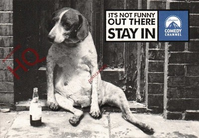 Picture Postcard-:Dog, Advertising Paramount Comedy Channel