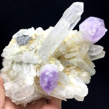 560g Natural Clear and Amethyst Cluster Crystal Specimen Energy Healing Reiki