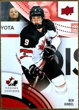 2013 Upper Deck National Hockey Card Details 21