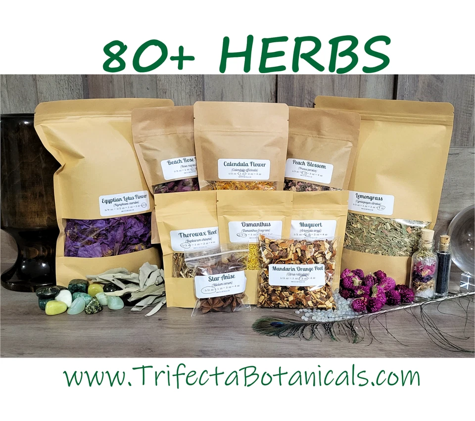 Lemongrass Dried Herb C/S ~ Cymbopogon citratus ~ Organic Bulk Herbs - Image 4 of 4