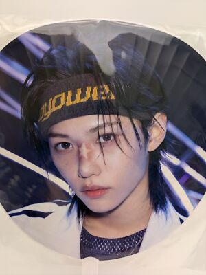 Stray Kids World Tour dominATE JAPAN 2025 Official MD IMAGE