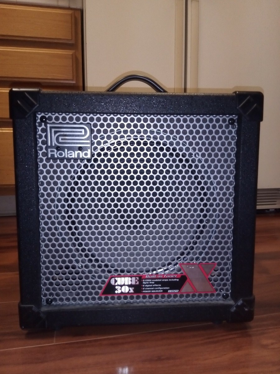 Roland Cube 30X Cosm Amp Excellent- | eBay