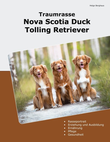 Traumrasse Nova Scotia Duck Tolling Retriever Helge Berghaus-image