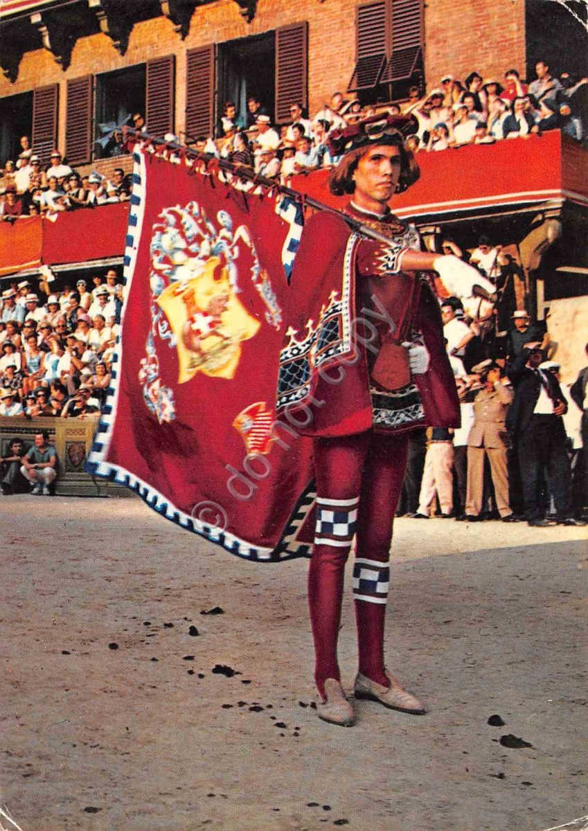 Cartolina Siena Il Palio Contrada La Torre Paggio 1974