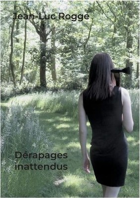 Drapages inattendus by Jean-Luc Rogge (French) Paperback Book
