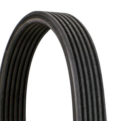 Continental Ctam 6DPK1195 Keilrippenriemen FüR Audi Ford Seat Skoda Vw-image